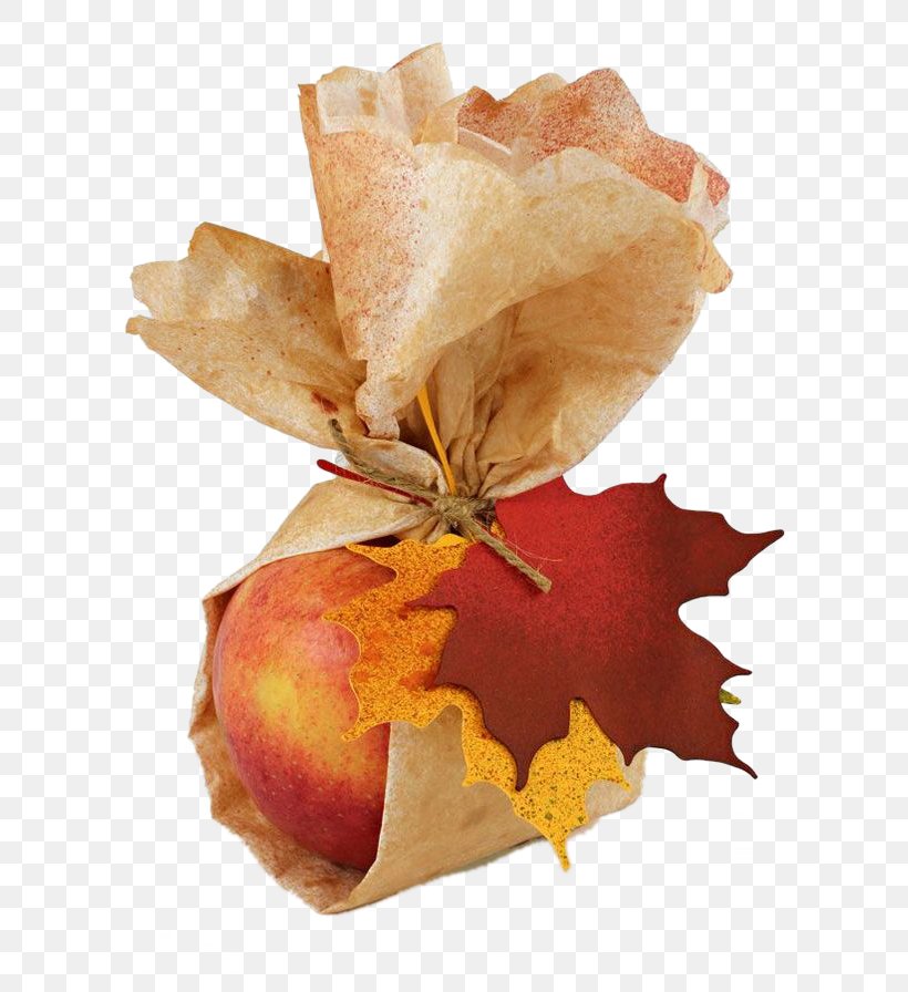 Paper Autumn Gift Leaf, PNG, 658x896px, Paper, Apple, Autumn, Christmas, Designer Download Free