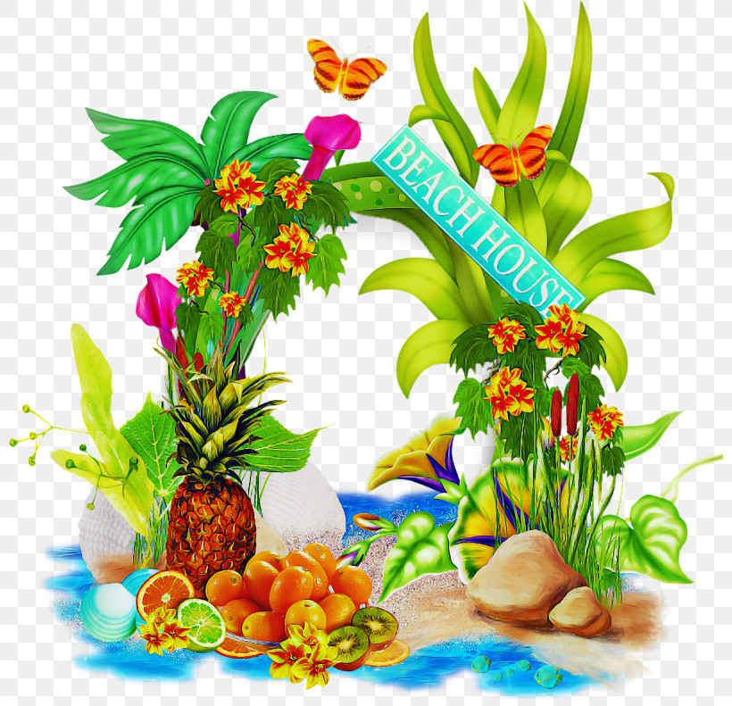 Plant Flower Wildflower Aquarium Decor, PNG, 800x791px, Plant, Aquarium Decor, Flower, Wildflower Download Free