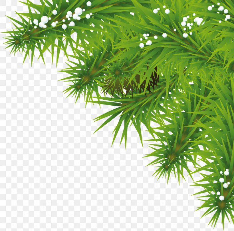 Christmas Tree Fir Clip Art, PNG, 1221x1206px, Christmas, Arecales, Biome, Branch, Christmas Decoration Download Free