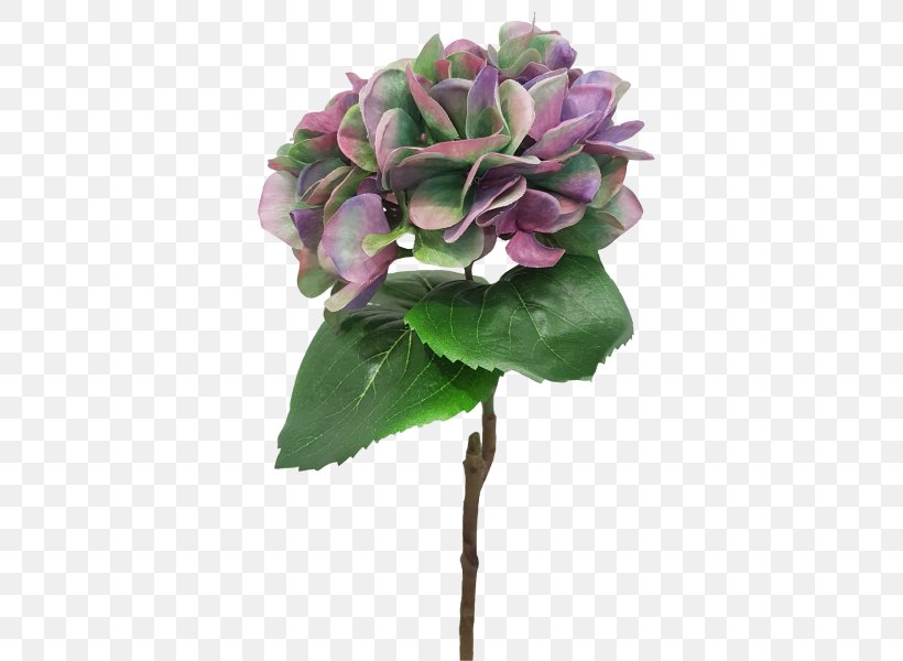 Cut Flowers Floral Design Hydrangea Plant, PNG, 800x600px, Cut Flowers, Artificial Flower, Cornales, Floral Design, Flower Download Free
