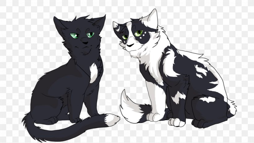 Kitten Whiskers Black Cat Ravenpaw, PNG, 1024x576px, Watercolor, Cartoon, Flower, Frame, Heart Download Free