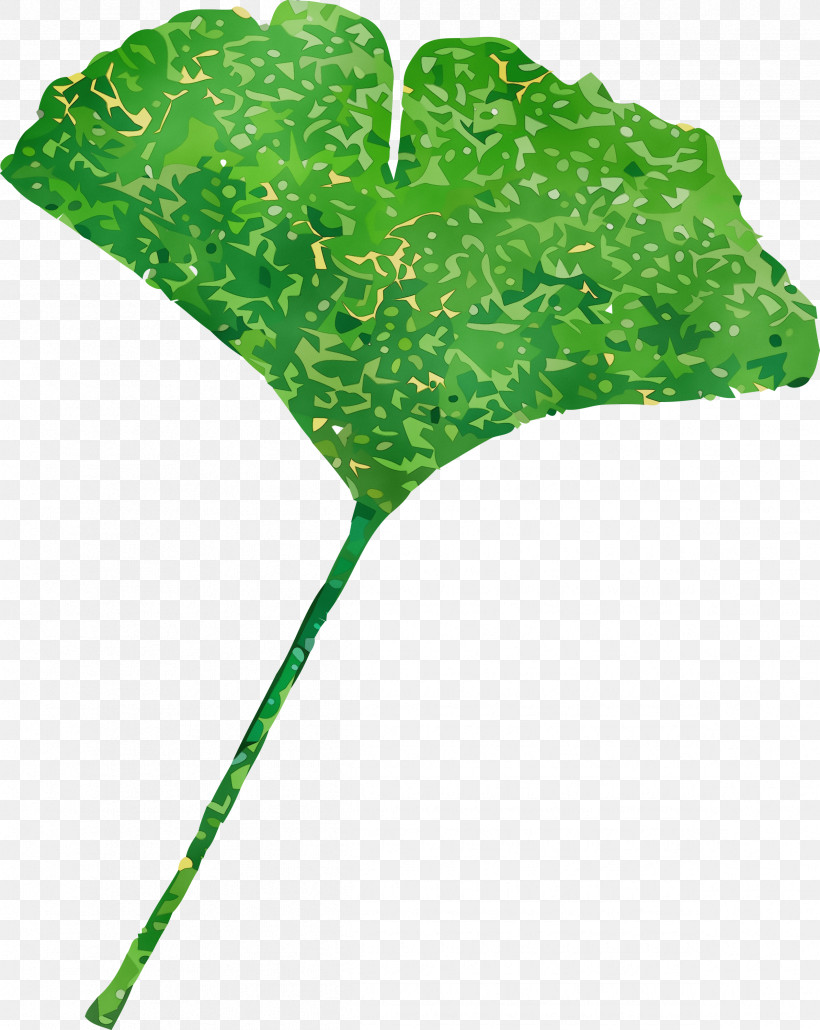 Leaf Plant Stem Tree Green Plants, PNG, 2388x3000px, Watercolor, Biology, Green, Leaf, Paint Download Free