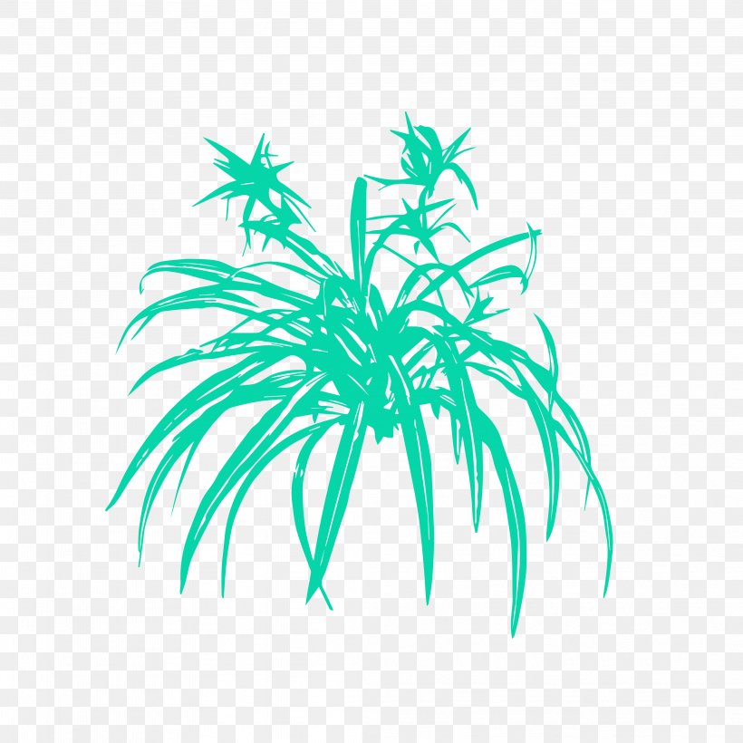 Palm Trees Chlorophytum Comosum Succulent Plant Plants Leaf, PNG, 4167x4167px, Palm Trees, Aquarium Decor, Arecales, Chlorophytum Comosum, Dumb Canes Download Free