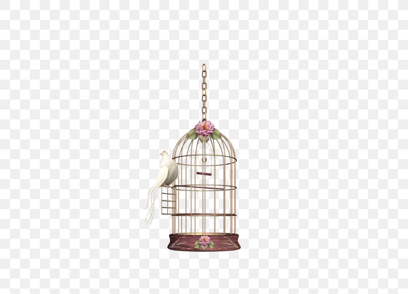 Birdcage Birdcage, PNG, 591x591px, Bird, Birdcage, Cage, Drawing, Net Download Free
