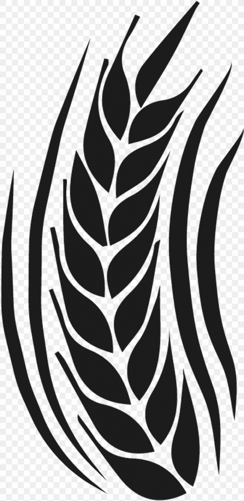 Black-and-white Leaf Pattern Plant Vascular Plant, PNG, 912x1872px, Blackandwhite, Leaf, Plant, Vascular Plant Download Free