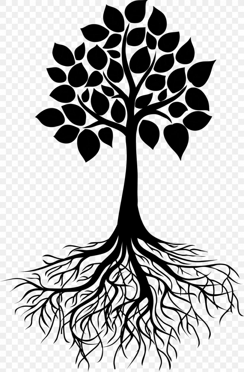Searching for the Ideal Oak  Tree with roots drawing Roots drawing Tree  drawing