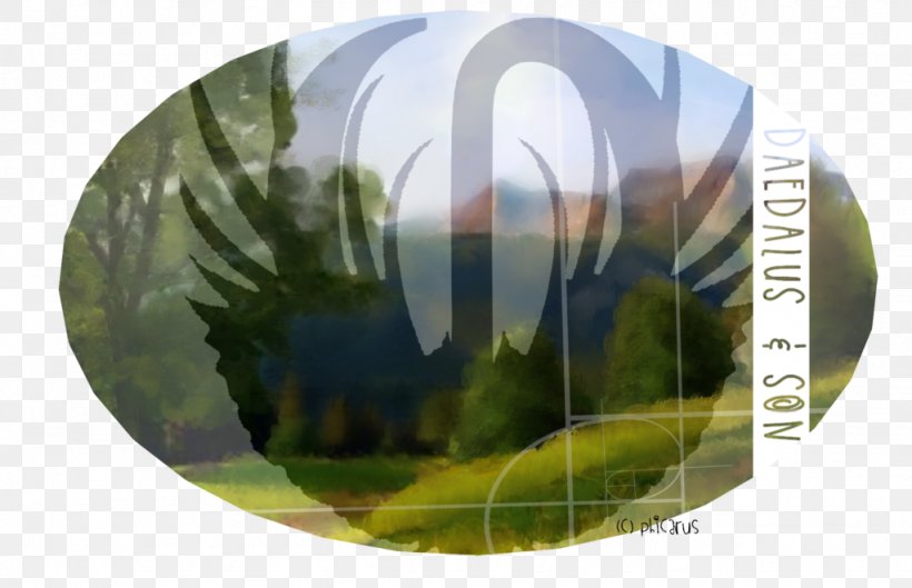 Energy Sphere, PNG, 1024x661px, Energy, Grass, Sphere, Tree Download Free