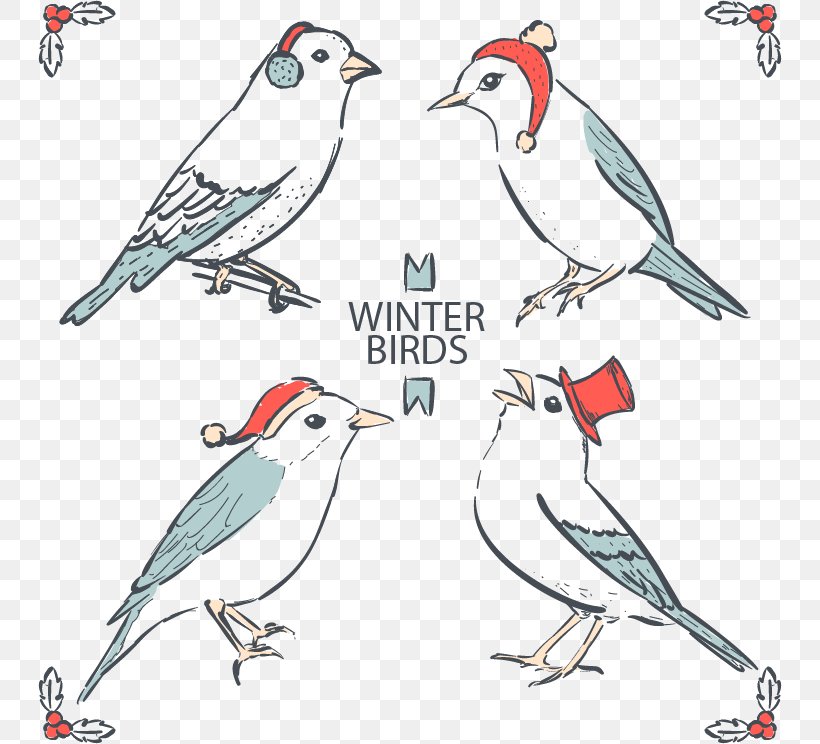 Finch Bird Drawing Feather, PNG, 744x744px, Finch, Art, Artwork, Beak, Bird Download Free
