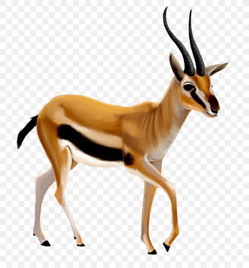 Gazelle Clip Art, PNG, 768x881px, Gazelle, Animal Figure, Antelope, Bongo, Cow Goat Family Download Free