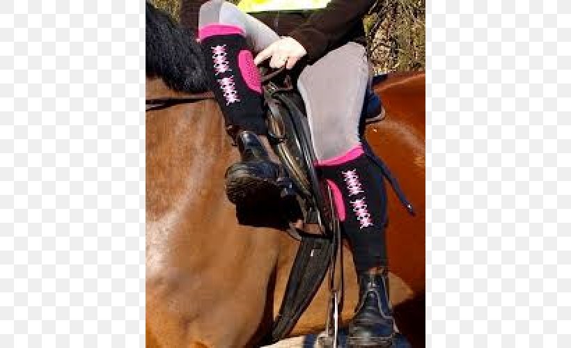Horse Equestrian Sock Riding Boot Chaps, PNG, 500x500px, Horse, Argyle, Bit, Boot, Boot Socks Download Free