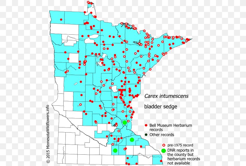 Line Minnesota Point Angle Map, PNG, 522x556px, Minnesota, Area, Congressional District, Diagram, Map Download Free