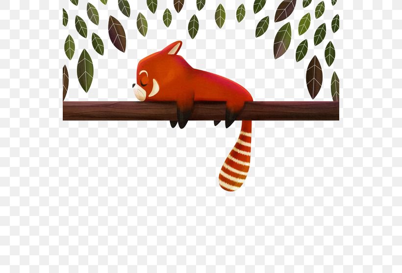 Red Panda Giant Panda Raccoon Drawing Illustration, PNG, 564x556px, Red Panda, Animal, Carnivora, Carnivoran, Cuteness Download Free