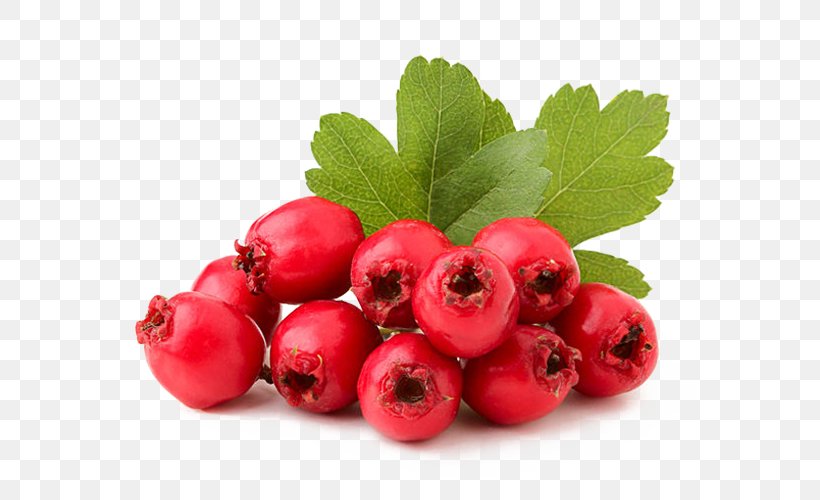 Skin Food Cream Cranberry Xeroderma, PNG, 640x500px, Skin, Accessory Fruit, Acerola, Acerola Family, Atopic Dermatitis Download Free