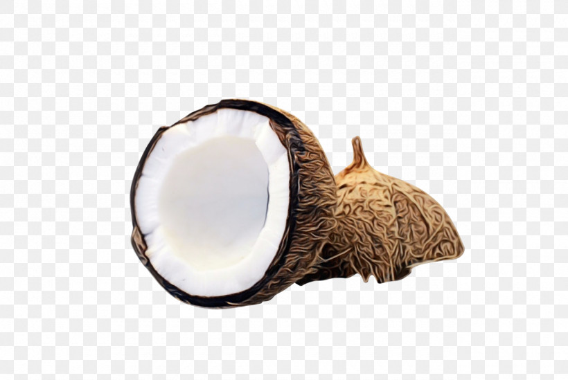 Coconut, PNG, 1280x857px, Watercolor, Coconut, Coconut Oil, Coconut Water, Oil Paint Download Free