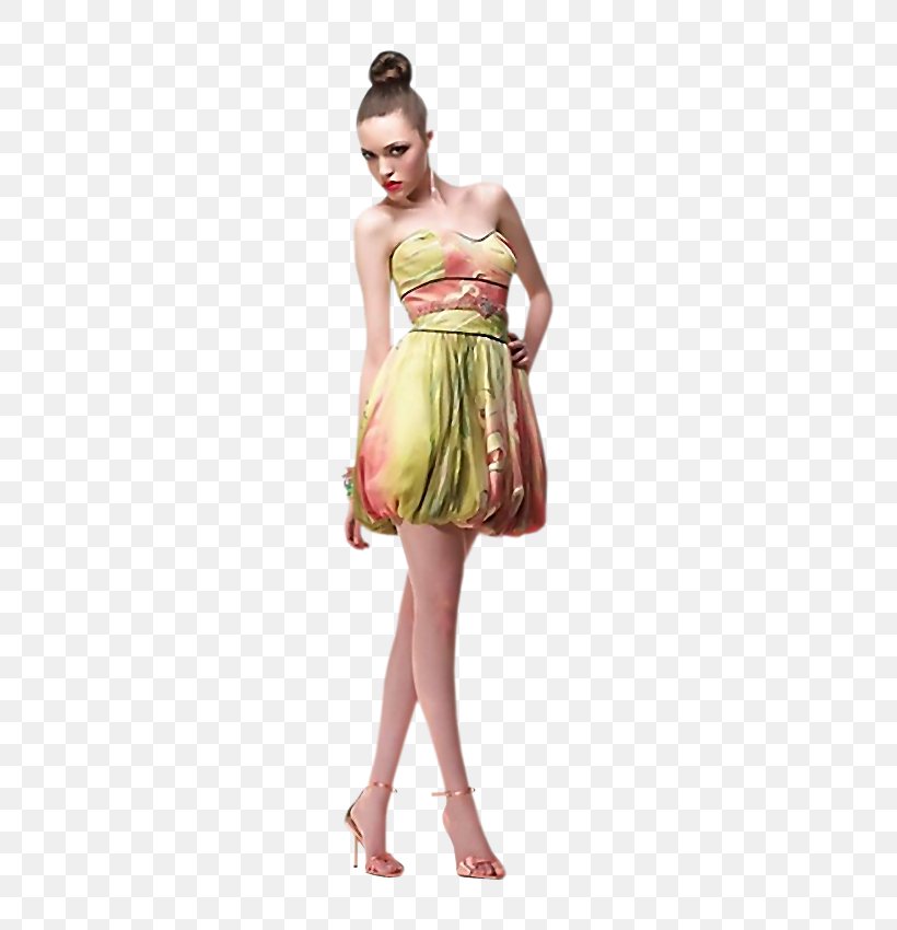 Fashion Cocktail Dress Mémoires D'un âne Woman, PNG, 600x850px, Watercolor, Cartoon, Flower, Frame, Heart Download Free
