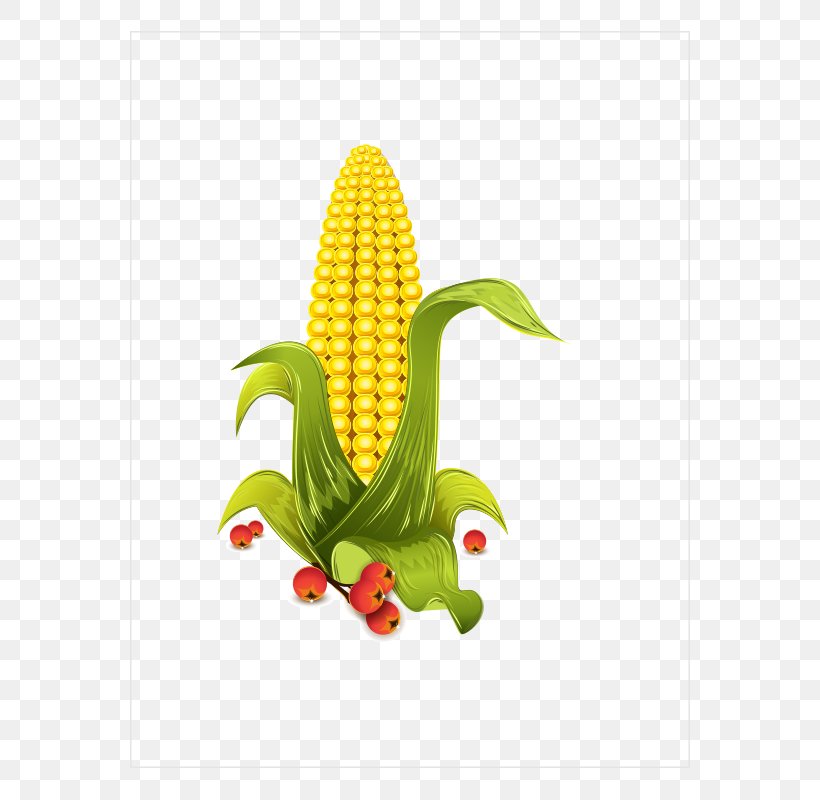 Grits Maize, PNG, 800x800px, Grits, Cartoon, Decal, Food, Food Grain Download Free