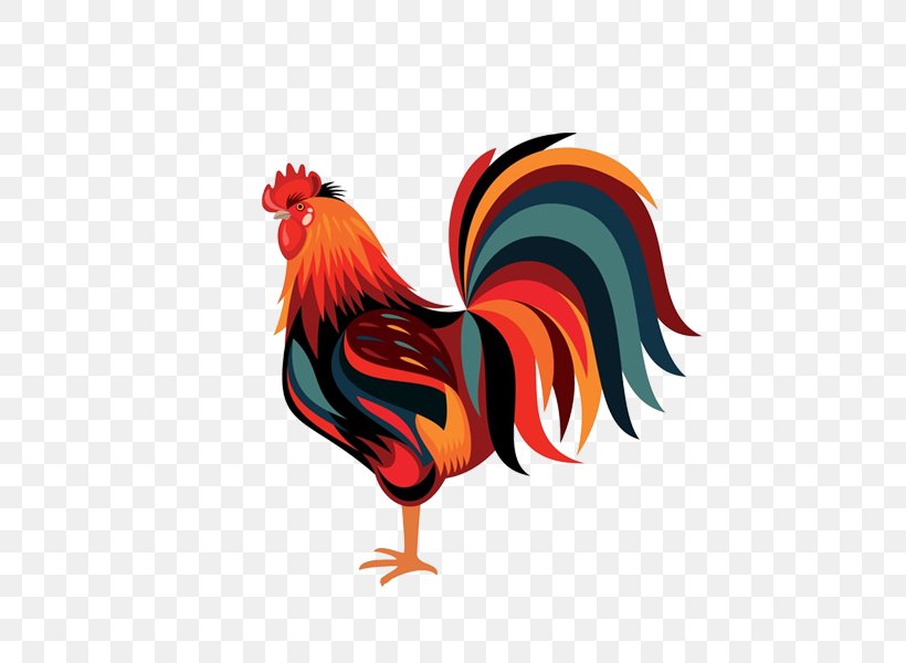 Wyandotte Chicken Rooster Hen Zazzle, PNG, 600x600px, Wyandotte Chicken, Beak, Bird, Chicken, Feather Download Free
