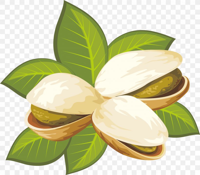 Pistachio Nut Stock Illustration Clip Art, PNG, 1959x1722px, Pistachio, Drawing, Flavor, Fotosearch, Istock Download Free