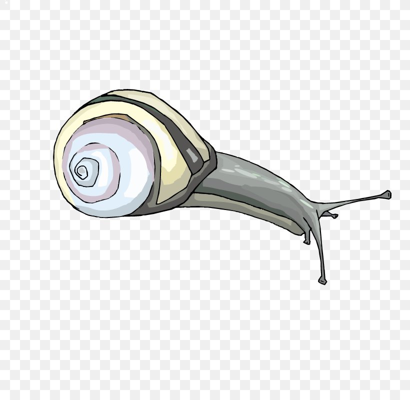 Snails, PNG, 800x800px, Insect, Animal, Animation, Caracol, Gastropods Download Free