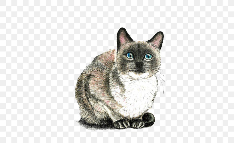 Cat Kitten Drawing Mouse, PNG, 500x500px, Cat, American Wirehair, Asian, Carnivoran, Cat Like Mammal Download Free