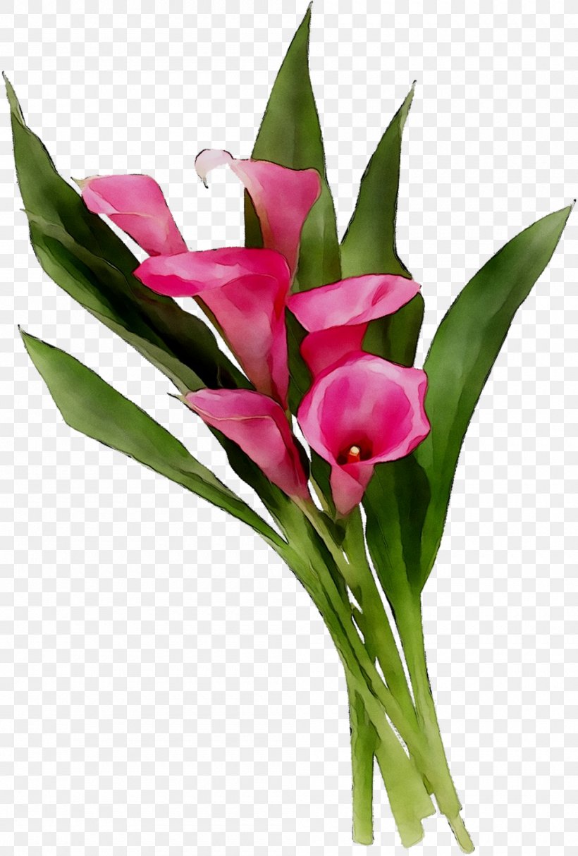 Floral Design Cut Flowers Flower Bouquet Tulip, PNG, 1000x1481px, Floral Design, Anthurium, Artificial Flower, Botany, Bud Download Free