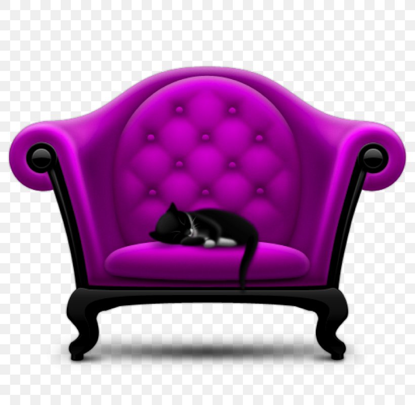 Furniture Desktop Wallpaper Couch, PNG, 800x800px, Furniture, Bed, Carnivoran, Cat, Chair Download Free