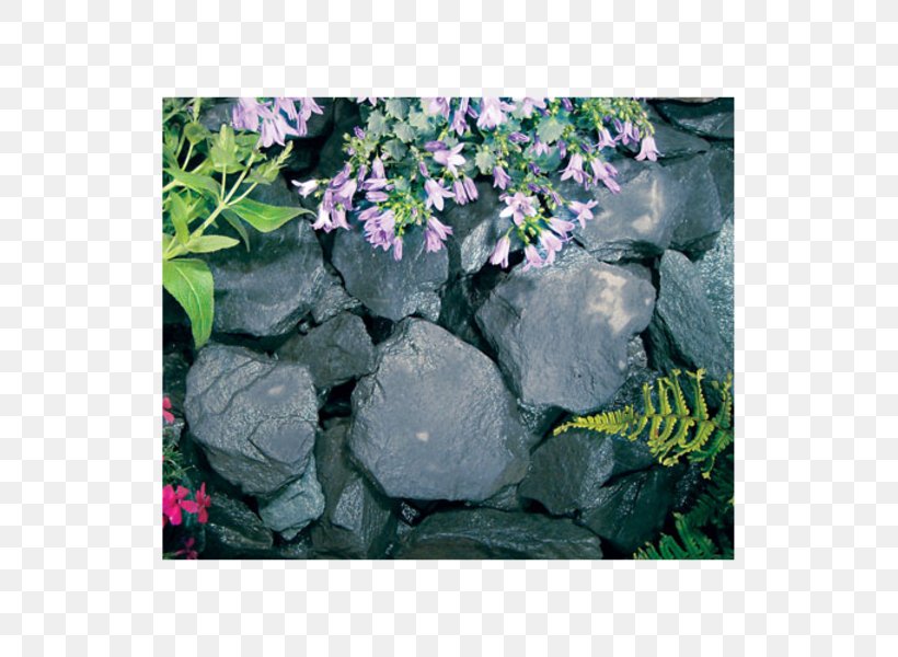 Hydrangea Rock Gardening Flexible Intermediate Bulk Container, PNG, 600x600px, Hydrangea, Bird Feeders, Cornales, Flora, Flower Download Free