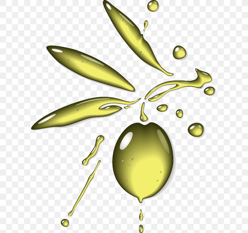 Olive Oil Clip Art, PNG, 613x770px, Olive Oil, Balsamic Vinegar, Cooking Oil, Flowering Plant, Food Download Free