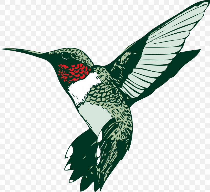 Broad-tailed Hummingbird Ruby-throated Hummingbird Clip Art, PNG, 2400x2190px, Hummingbird, Beak, Bird, Broadtailed Hummingbird, Drawing Download Free