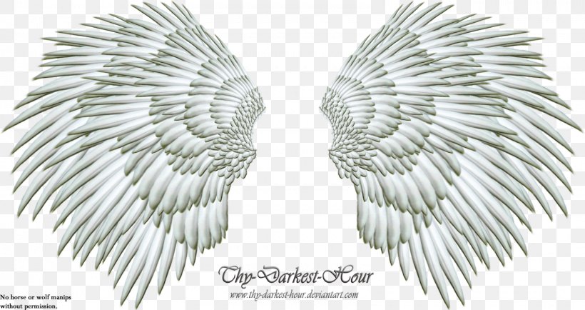 Drawing Clip Art, PNG, 1600x848px, Wing, Angel Wing, Beak, Black And White, Computer Software Download Free