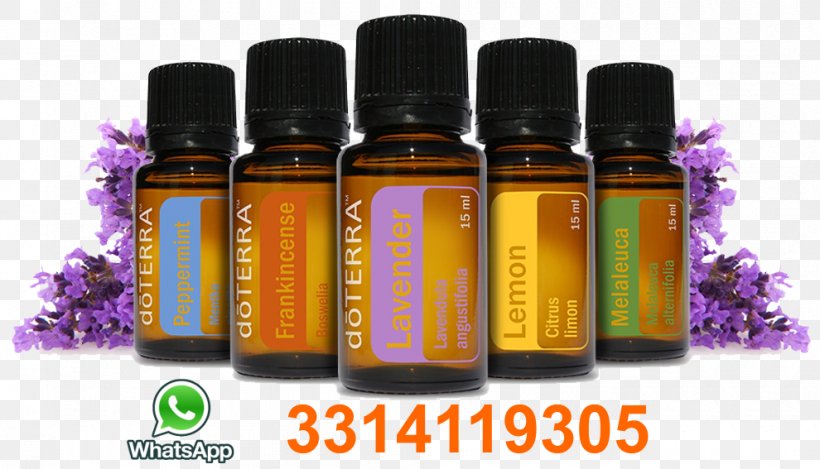 Essential Oil DoTerra Aromatherapy Perfume, PNG, 990x567px, Essential Oil, Aromatherapy, Bottle, Distillation, Doterra Download Free