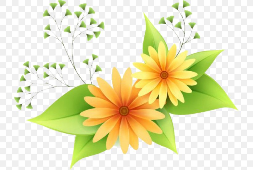 Flower Clip Art, PNG, 728x551px, Flower, Daisy Family, Display Resolution, Drawing, Floral Design Download Free
