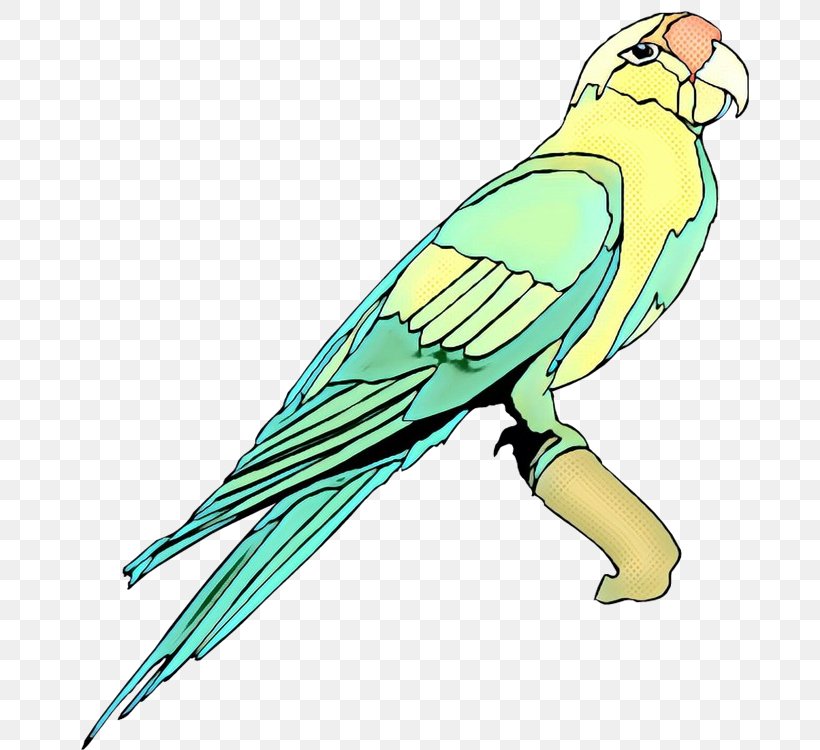 Macaw Lovebird Parakeet Clip Art Beak, PNG, 679x750px, Macaw, Beak, Bird, Budgie, Fauna Download Free