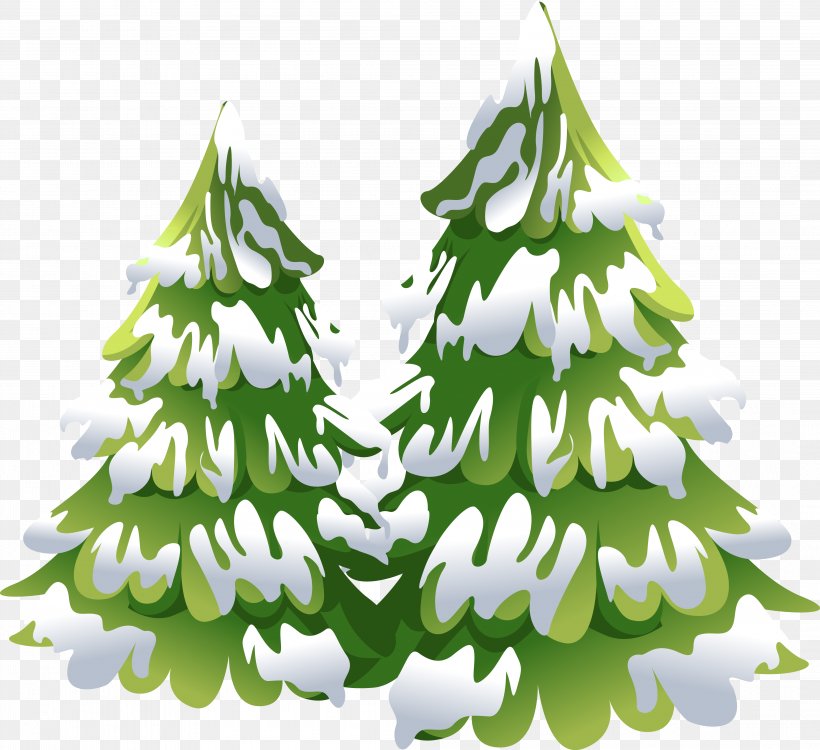 Spruce Fir Tree Drawing Clip Art, PNG, 4219x3859px, Spruce, Branch, Cartoon, Christmas Decoration, Christmas Ornament Download Free