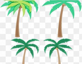 Houseplant Plant Stem - Coconut Tree Drawing PNG