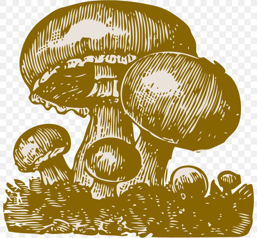 Clip Art, PNG, 800x758px, Art, Drawing, Edible Mushroom, Food, Mushroom Download Free