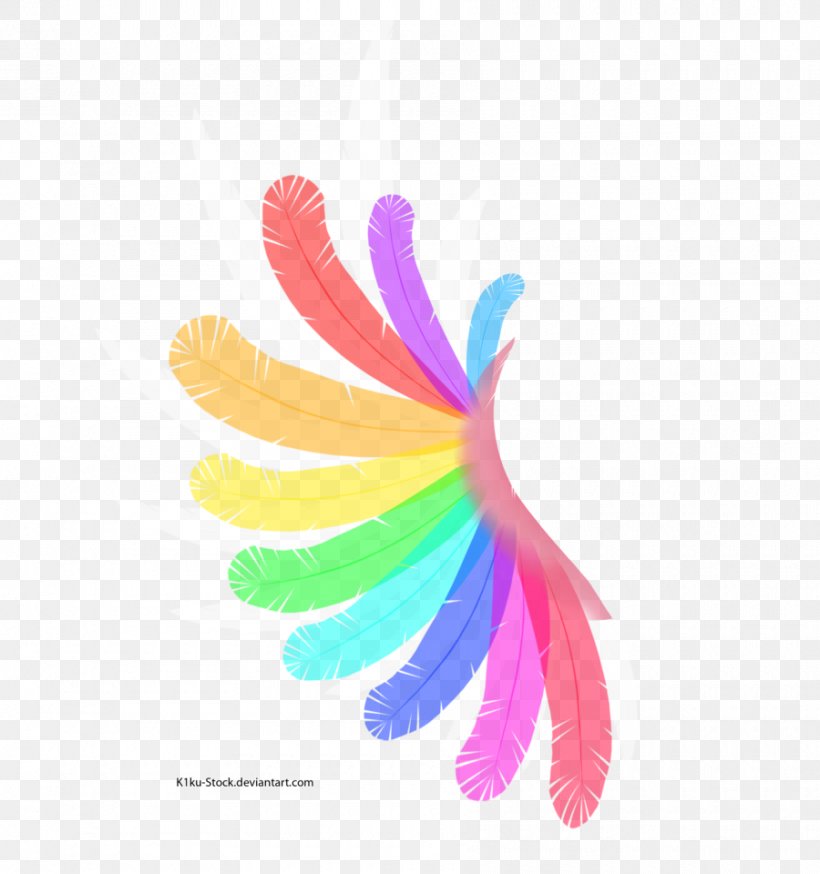 Desktop Wallpaper, PNG, 900x960px, Black And White, Display Resolution, Feather, Flower, Information Download Free