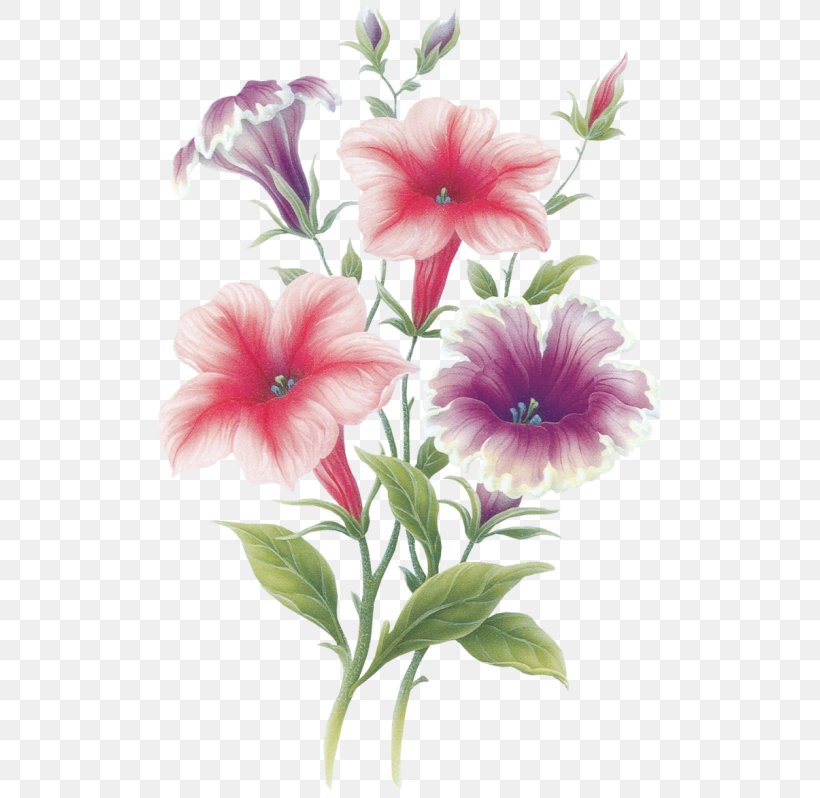 Flower August 22 Painting Adobe Photoshop, PNG, 504x798px, Flower, Annual Plant, August, August 22, Blog Download Free