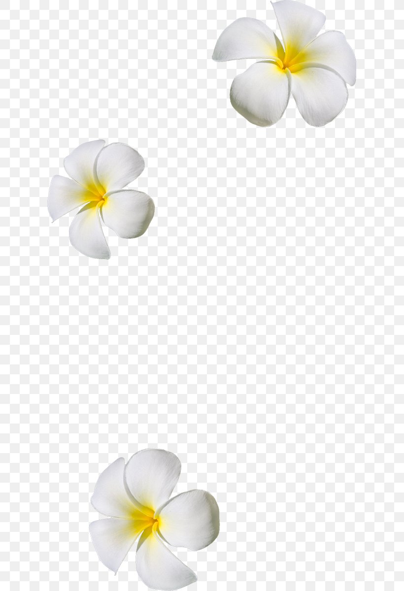 Flower Petal Clip Art, PNG, 627x1200px, Flower, Blog, Centrepiece, Craft, Floral Design Download Free
