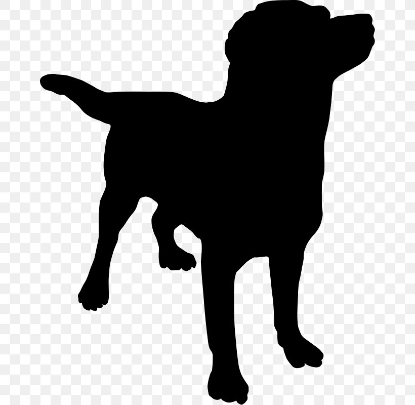 Labrador Retriever Silhouette Clip Art, PNG, 662x800px, Labrador Retriever, Animal, Black, Black And White, Carnivoran Download Free
