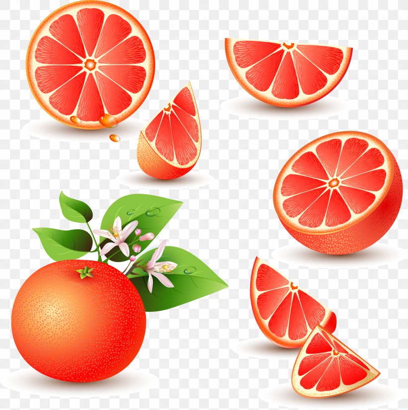 Grapefruit Juice Pomelo Orange, PNG, 3053x3067px, Juice, Apple, Citric Acid, Citrus, Diet Food Download Free