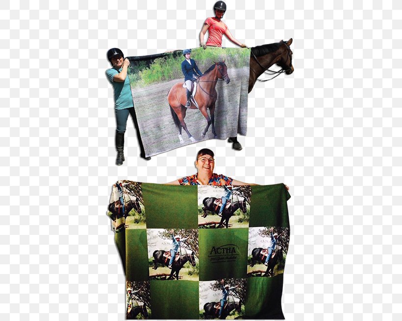 Horse Harnesses Rein Collage, PNG, 400x656px, Horse, Blanket, Brand, Collage, Fanatics Download Free