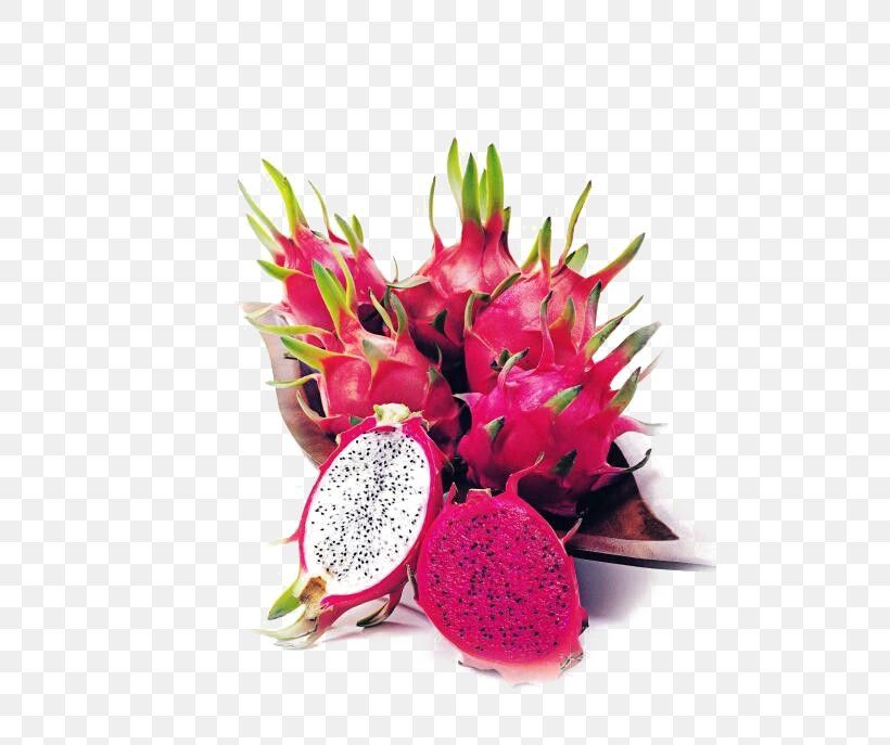 Hylocereus Undatus Thai Cuisine Fruit Salad Pitaya, PNG, 500x687px, Hylocereus Undatus, Auglis, Cut Flowers, Floral Design, Floristry Download Free