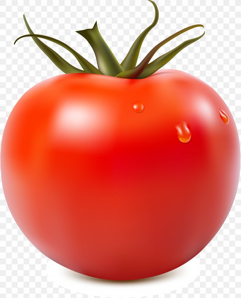 Tomato Juice Tomato Sauce Clip Art, PNG, 3101x3840px, Tomato Juice, Bush Tomato, Diet Food, Food, Fruit Download Free