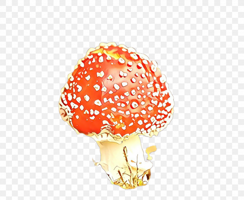 Orange, PNG, 2208x1811px, Orange, Agaric, Fungus, Mushroom Download Free