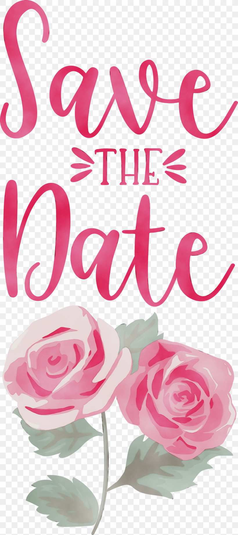 Floral Design, PNG, 1333x2999px, Save The Date, Cut Flowers, Floral Design, Flower, Garden Download Free
