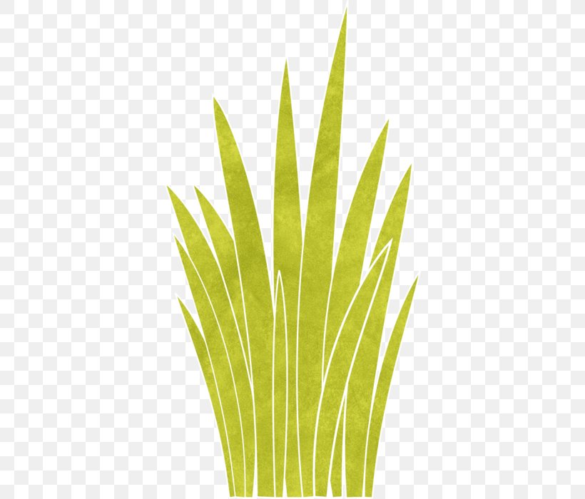 Leaf Grasses Plant Stem Commodity Family, PNG, 361x700px, Leaf, Commodity, Family, Grass, Grass Family Download Free