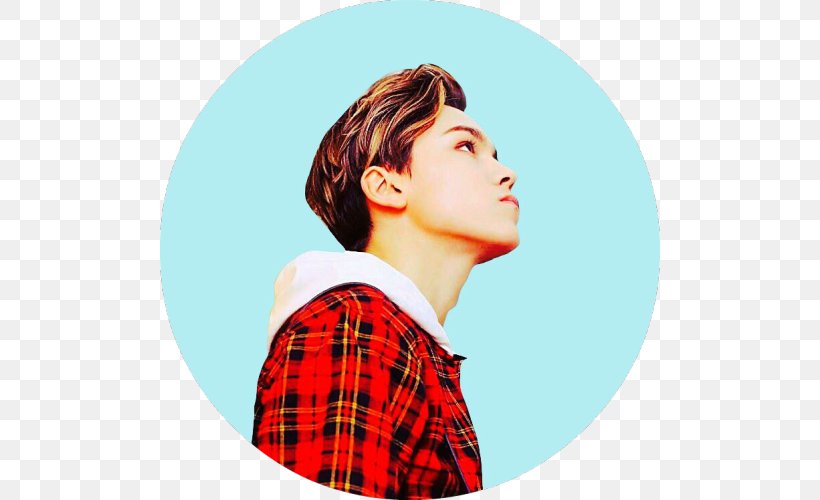 Vernon SEVENTEEN VERY NICE K-pop Girl's Day, PNG, 500x500px, Watercolor, Cartoon, Flower, Frame, Heart Download Free