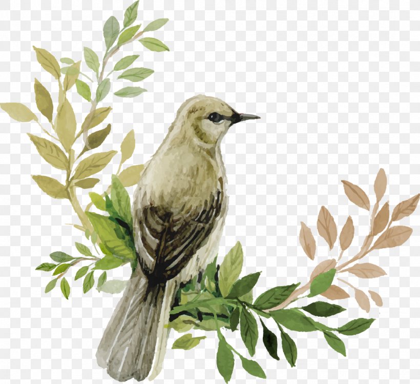 Watercolor Painting Image Illustration, PNG, 1087x993px, Painting, Art, Beak, Bird, Branch Download Free