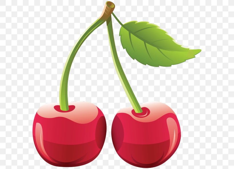 Cherry Clip Art, PNG, 600x592px, Cherry, Flowering Plant, Food, Fruit, Image File Formats Download Free